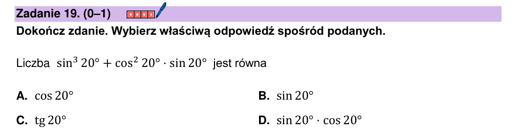 Zadanie 19 z arkusza CKE, maj 2024 (oryginał)